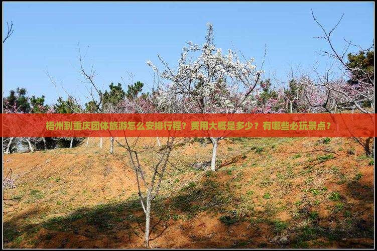 梧州到重庆团体旅游怎么安排行程？费用大概是多少？有哪些必玩景点？