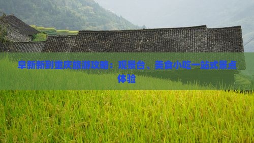 阜新新到重庆旅游攻略：观景台、美食小吃一站式景点体验