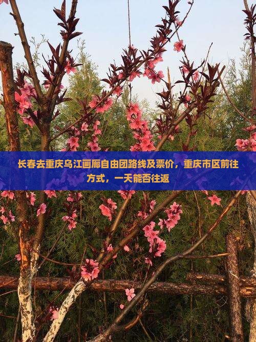 长春去重庆乌江画廊自由团路线及票价，重庆市区前往方式，一天能否往返