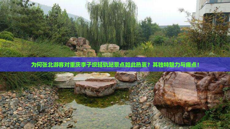 为何张北游客对重庆李子坝轻轨站景点如此热衷？其独特魅力与痛点！