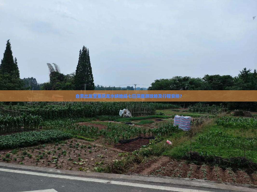 自贡出发至重庆龙水峡地缝七日深度游攻略及行程安排？