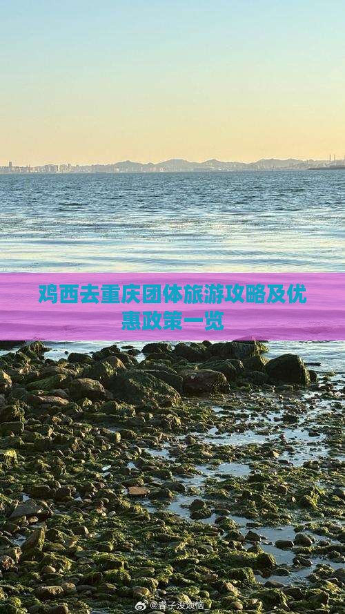 鸡西去重庆团体旅游攻略及优惠政策一览