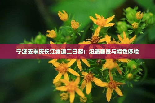 宁波去重庆长江索道二日游：沿途美景与特色体验