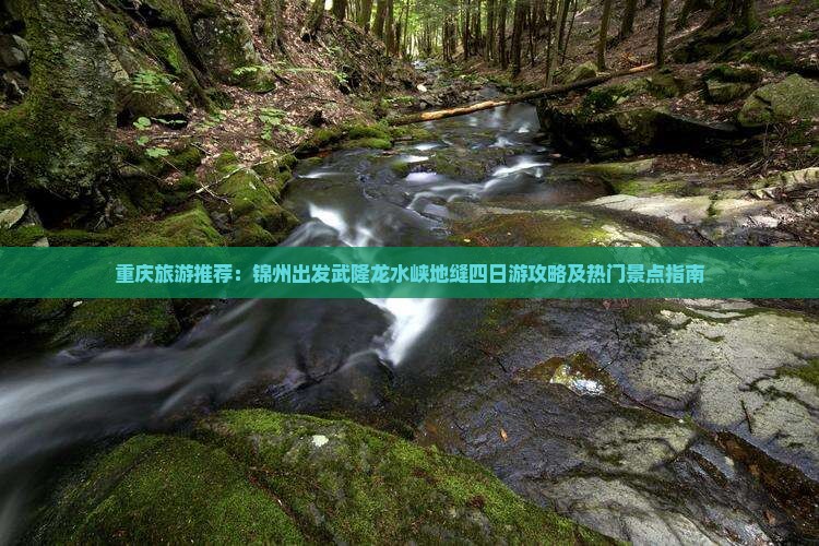 重庆旅游推荐：锦州出发武隆龙水峡地缝四日游攻略及热门景点指南