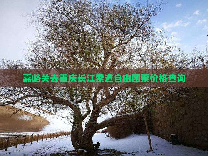 嘉峪关去重庆长江索道自由团票价格查询