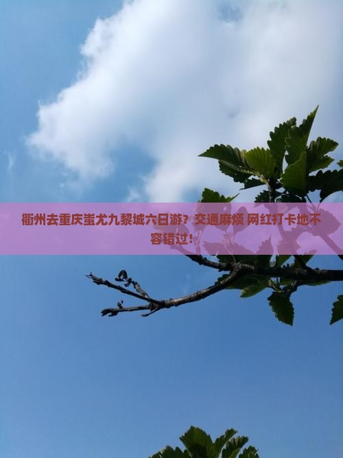 衢州去重庆蚩尤九黎城六日游？交通麻烦+网红打卡地不容错过！