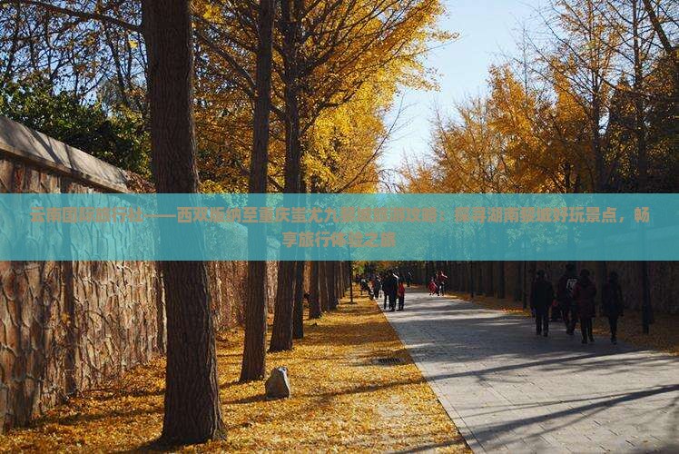 云南国际旅行社——西双版纳至重庆蚩尤九黎城旅游攻略：探寻湖南黎城好玩景点，畅享旅行体验之旅