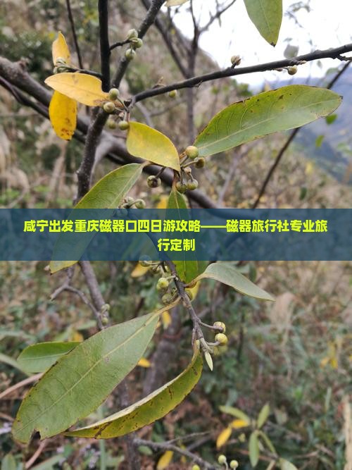咸宁出发重庆磁器口四日游攻略——磁器旅行社专业旅行定制