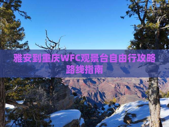 雅安到重庆WFC观景台自由行攻略路线指南