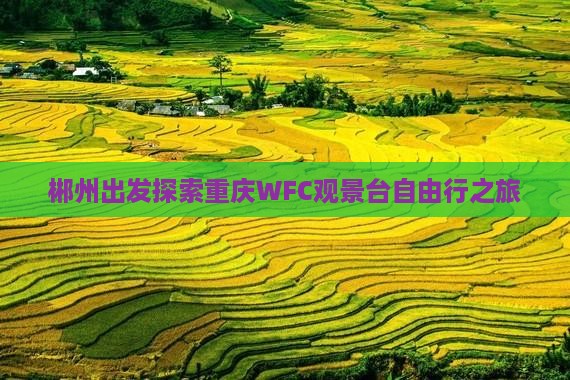郴州出发探索重庆WFC观景台自由行之旅