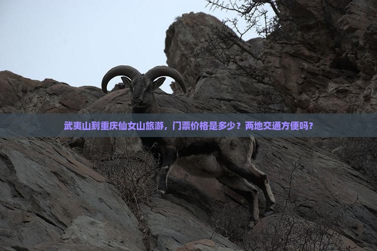 武夷山到重庆仙女山旅游，门票价格是多少？两地交通方便吗？