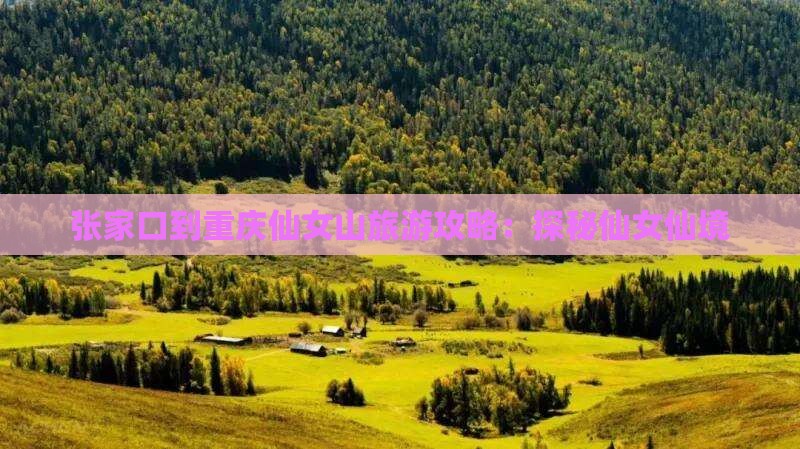 张家口到重庆仙女山旅游攻略：探秘仙女仙境