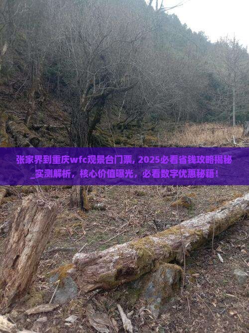 张家界到重庆wfc观景台门票