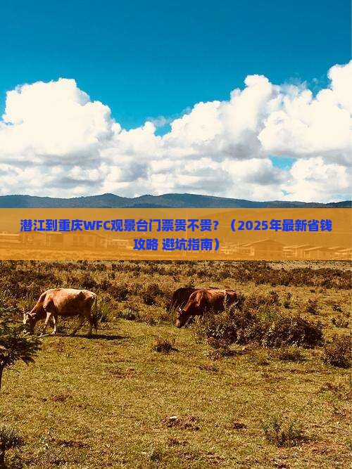 潜江到重庆wfc观景台门票 潜江到重庆wfc观景台门票