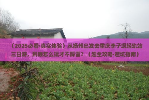 扬州到重庆李子坝轻轨站三日游