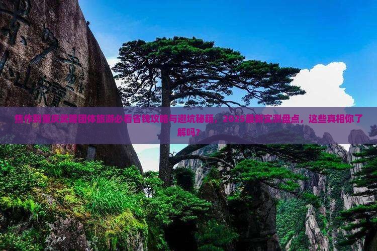 焦作到重庆武隆团体旅游