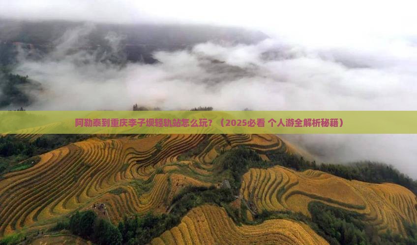 阿勒泰到重庆李子坝轻轨站个人游