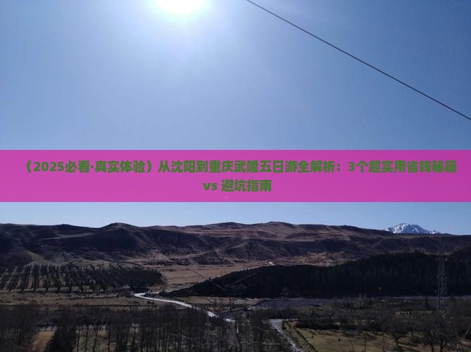 沈阳到重庆武隆五日游