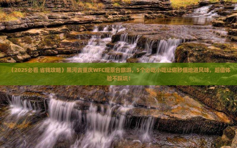 黑河去重庆wfc观景台旅游小吃