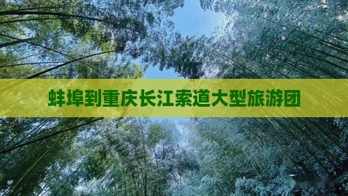 蚌埠到重庆长江索道大型旅游团 蚌埠到重庆长江索道大型旅游团
