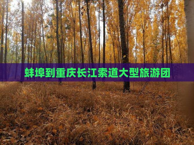 蚌埠到重庆长江索道大型旅游团 蚌埠到重庆长江索道大型旅游团