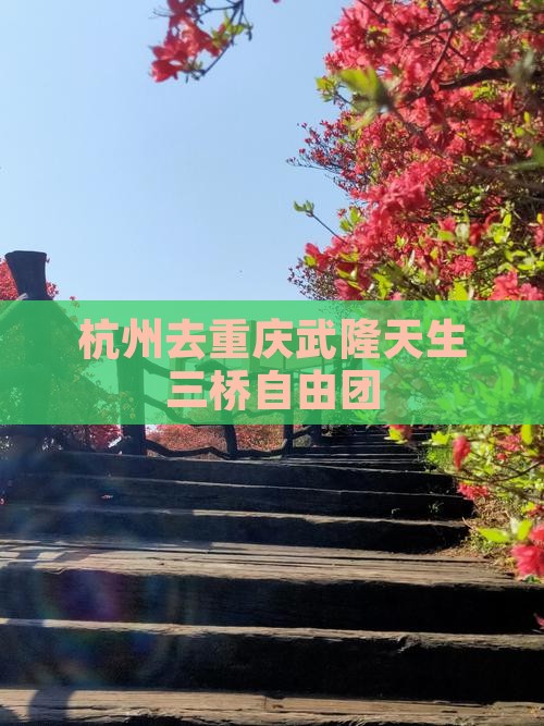 杭州去重庆武隆天生三桥自由团
