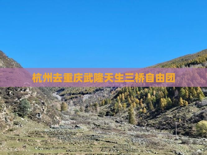 杭州去重庆武隆天生三桥自由团