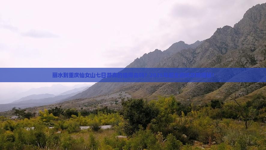 丽水到重庆仙女山七日游
