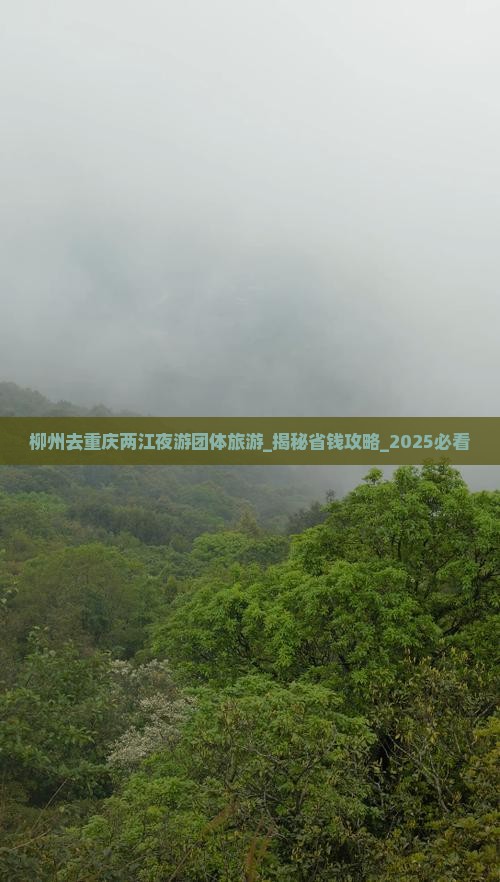 柳州去重庆两江夜游团体旅游