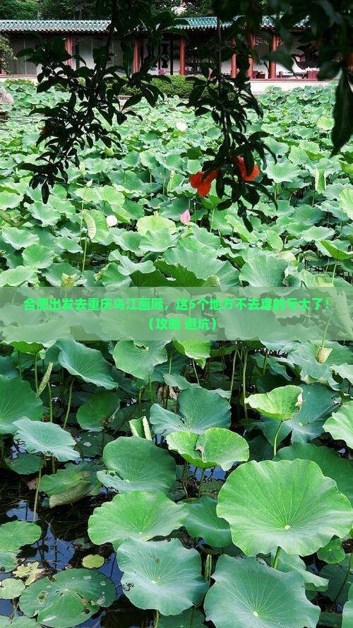 合肥去重庆乌江画廊必去地