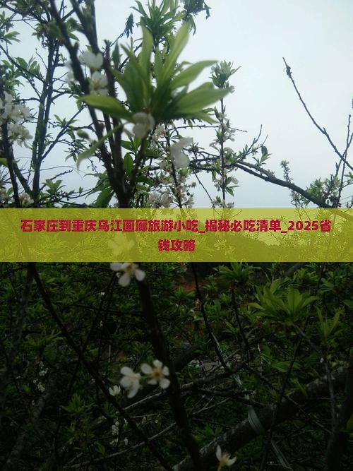 石家庄到重庆乌江画廊旅游小吃