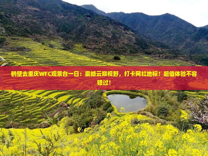 鹤壁去重庆wfc观景台一日