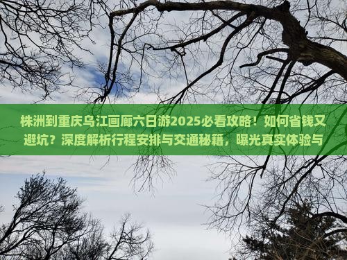 株洲到重庆乌江画廊六日游