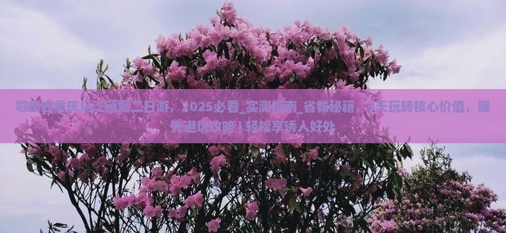 鄂州去重庆乌江画廊二日游