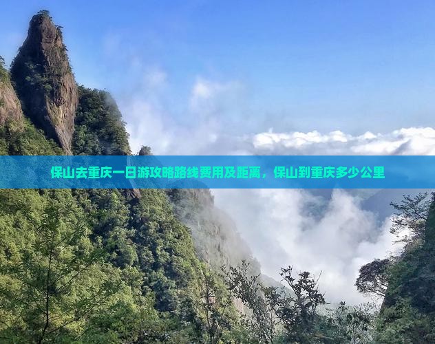 保山去重庆一日