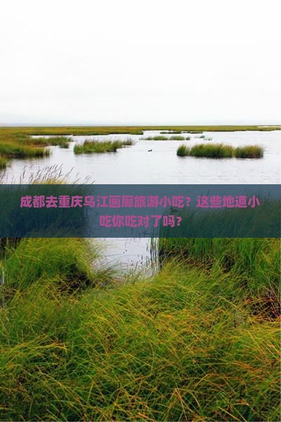 成都去重庆乌江画廊旅游小吃