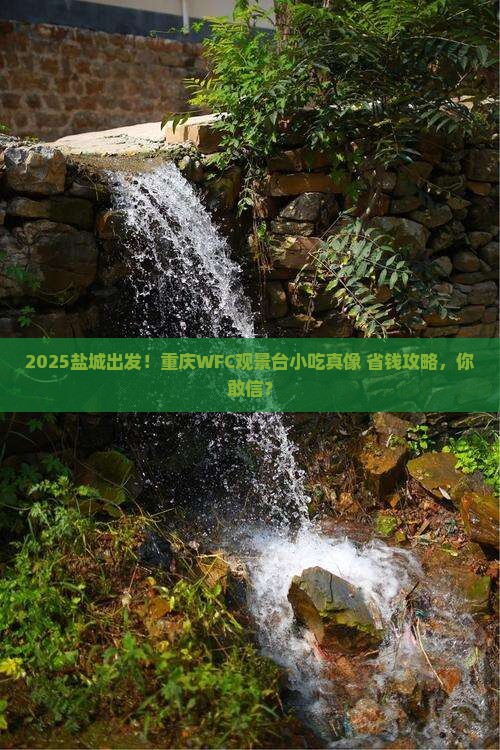 盐城到重庆wfc观景台旅游小吃