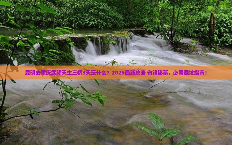 昆明去重庆武隆天生三桥哪里玩