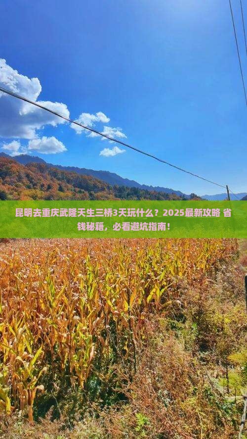 昆明去重庆武隆天生三桥哪里玩
