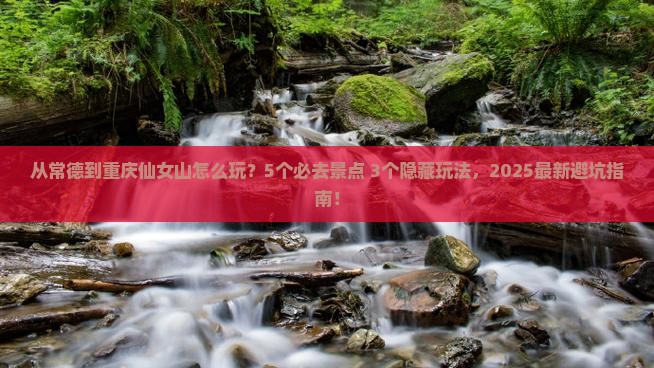常德到重庆仙女山哪里玩