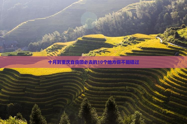十月到重庆自由团