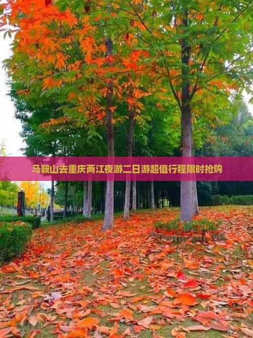 马鞍山去重庆两江夜游二日游