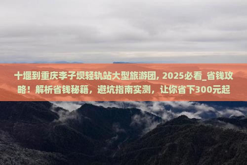 十堰到重庆李子坝轻轨站大型旅游团