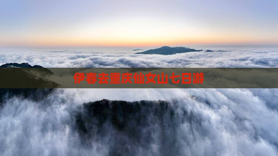 伊春去重庆仙女山七日游
