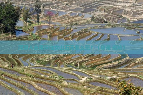 河源去重庆仙女山五日游