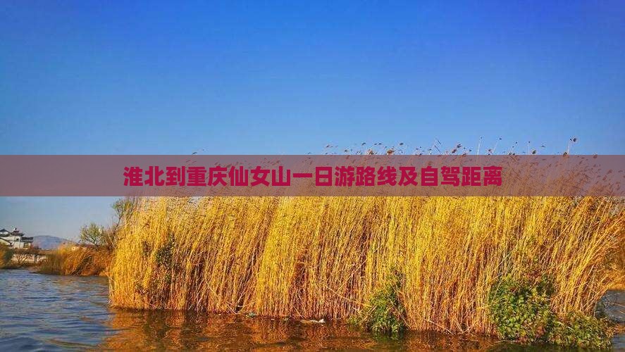 淮北到重庆仙女山一日
