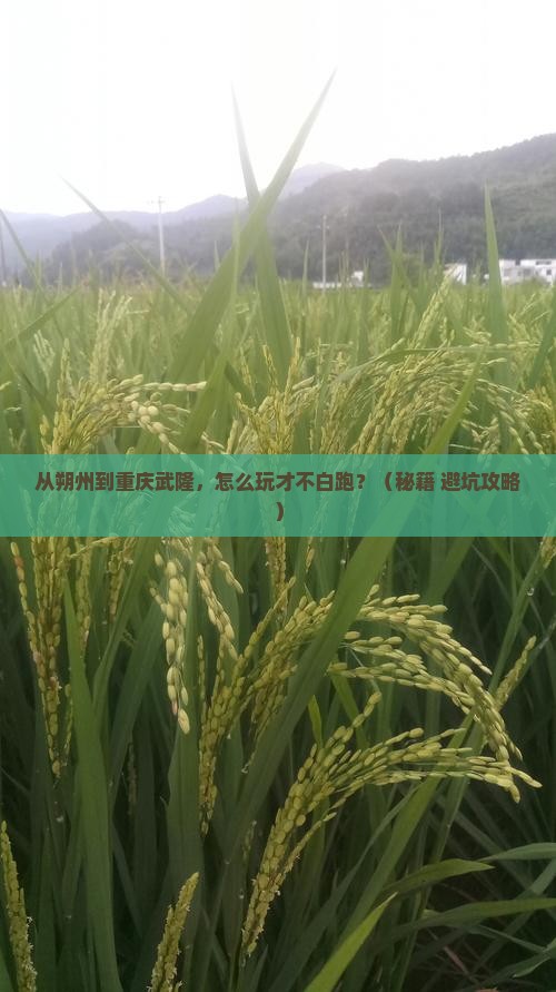 朔州到重庆武隆哪里玩