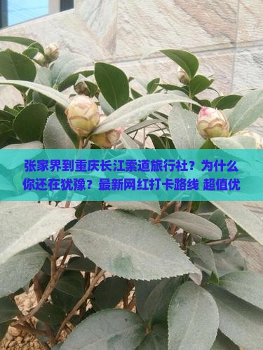 张家界到重庆长江索道旅行社