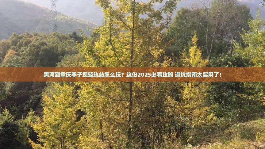 黑河到重庆李子坝轻轨站哪里玩