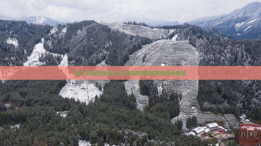 丽江到重庆仙女山六日游旅游攻略路线景点推荐